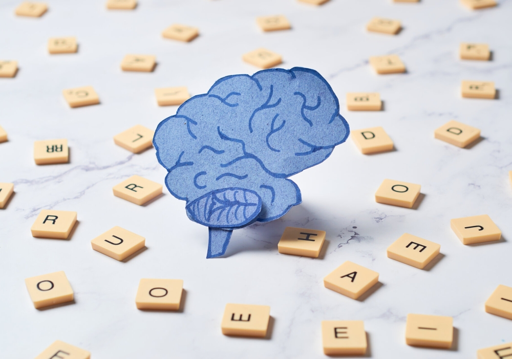 hagseub-jang-ae-gaenyeom-mich-nandogjeung-ttoneun-adhd